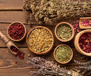 Medicinal Herb Sourcing